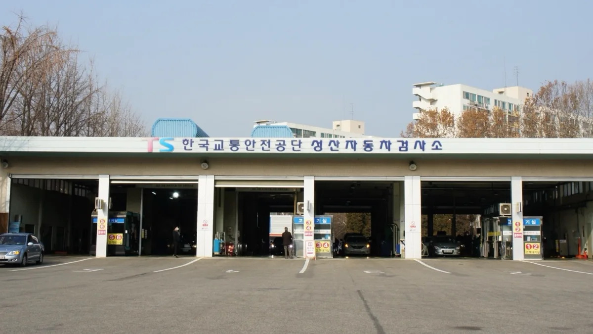 "검사 받았는데 과태료가 왜 나오죠?" 정기검사 대신 종합검사였던 이유